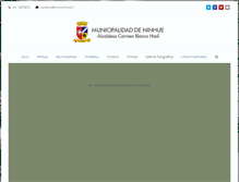 Tablet Screenshot of munininhue.cl